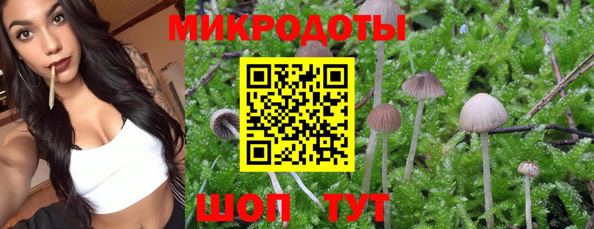 Галлюциногенные грибы ЛСД Фурманов