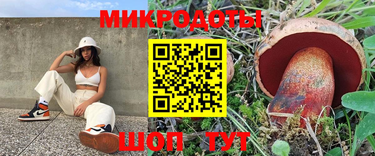 Фурманов  Галлюциногенные грибы прущие грибы  Вход с VPN 